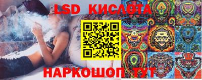 молекула духа Кингисепп