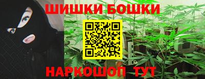 молекула духа Кингисепп