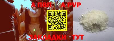 молекула духа Кингисепп