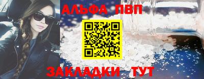 молекула духа Кингисепп