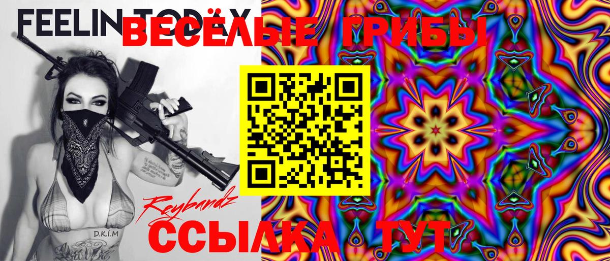 Псилоцибиновые грибы Psilocybe Кировск