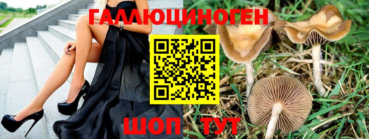 Кировск  Галлюциногенные грибы MAGIC MUSHROOMS  Вход с VPN 
